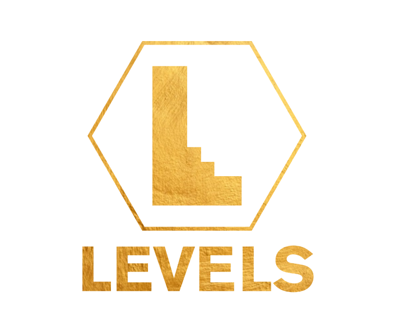 Levels Logo