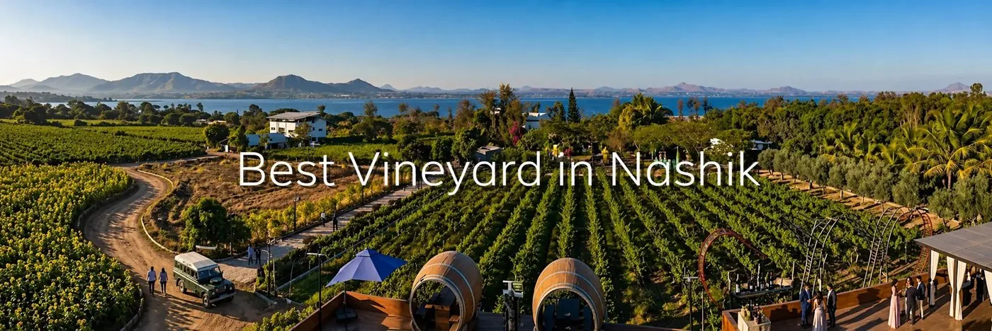 Soma Vine Village, the best vineyard in Nashik
