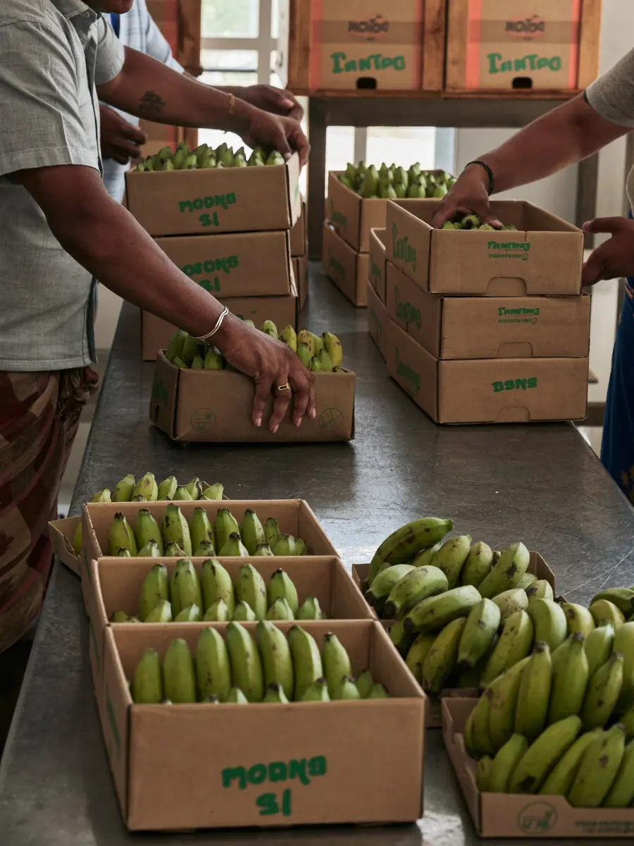Food and agri exporters